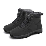 Cinza